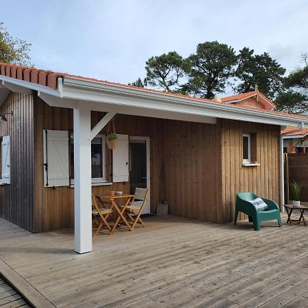 La Cabane De L'Estran Au Bord De Mer Lanton Εξωτερικό φωτογραφία